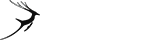 快速缓存更新的如何攻击网站